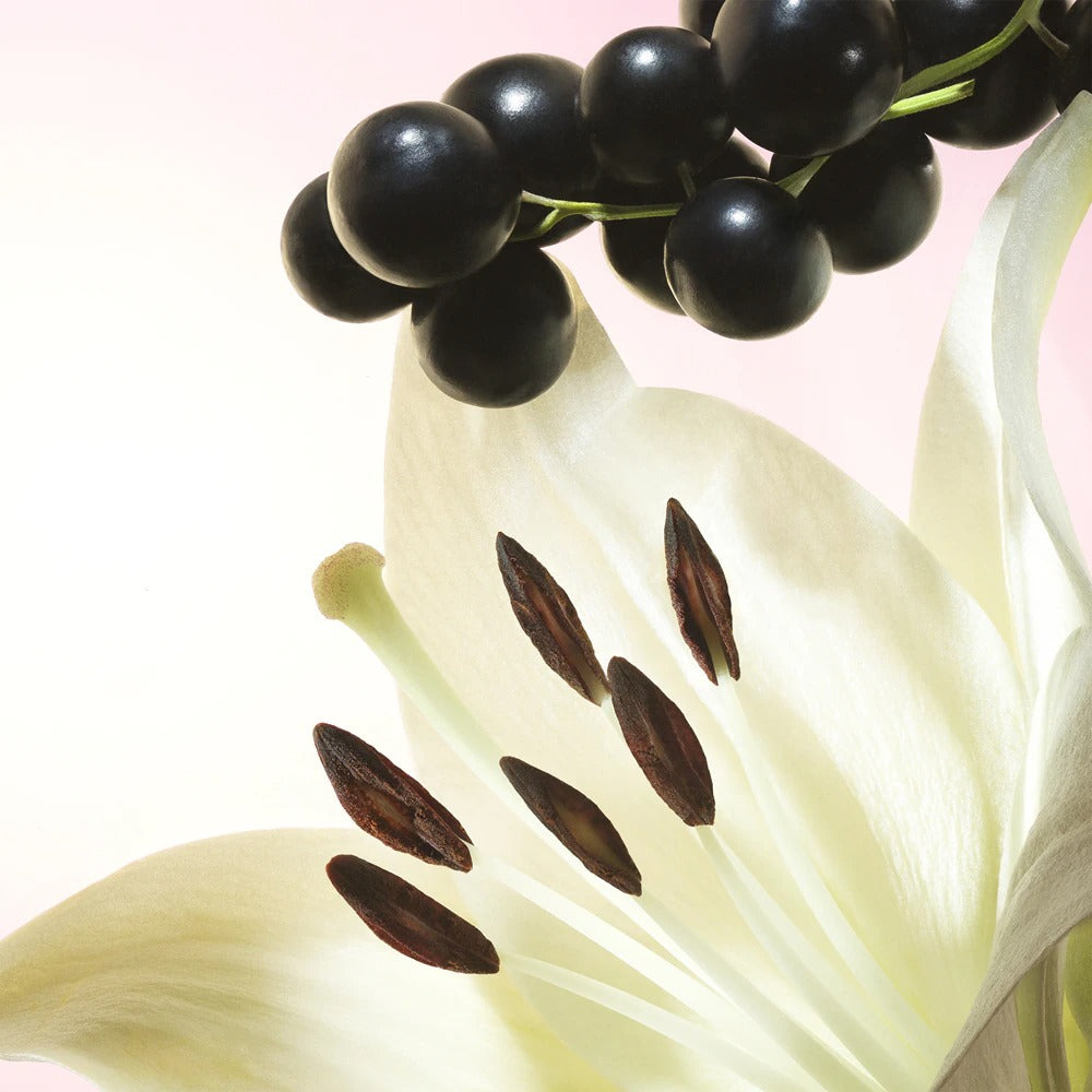 ANAIS CACHAREL 50ML EDT