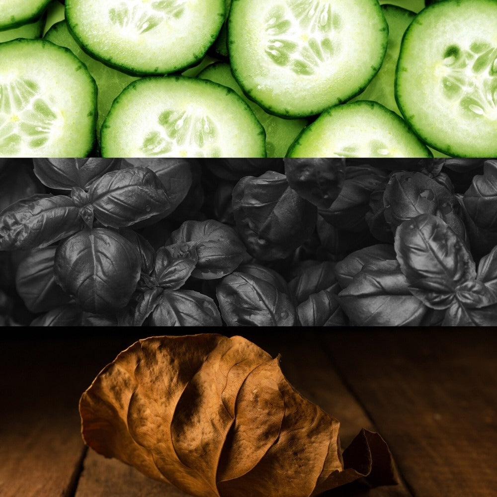 CK ONE SHOCK FOR HIM 100