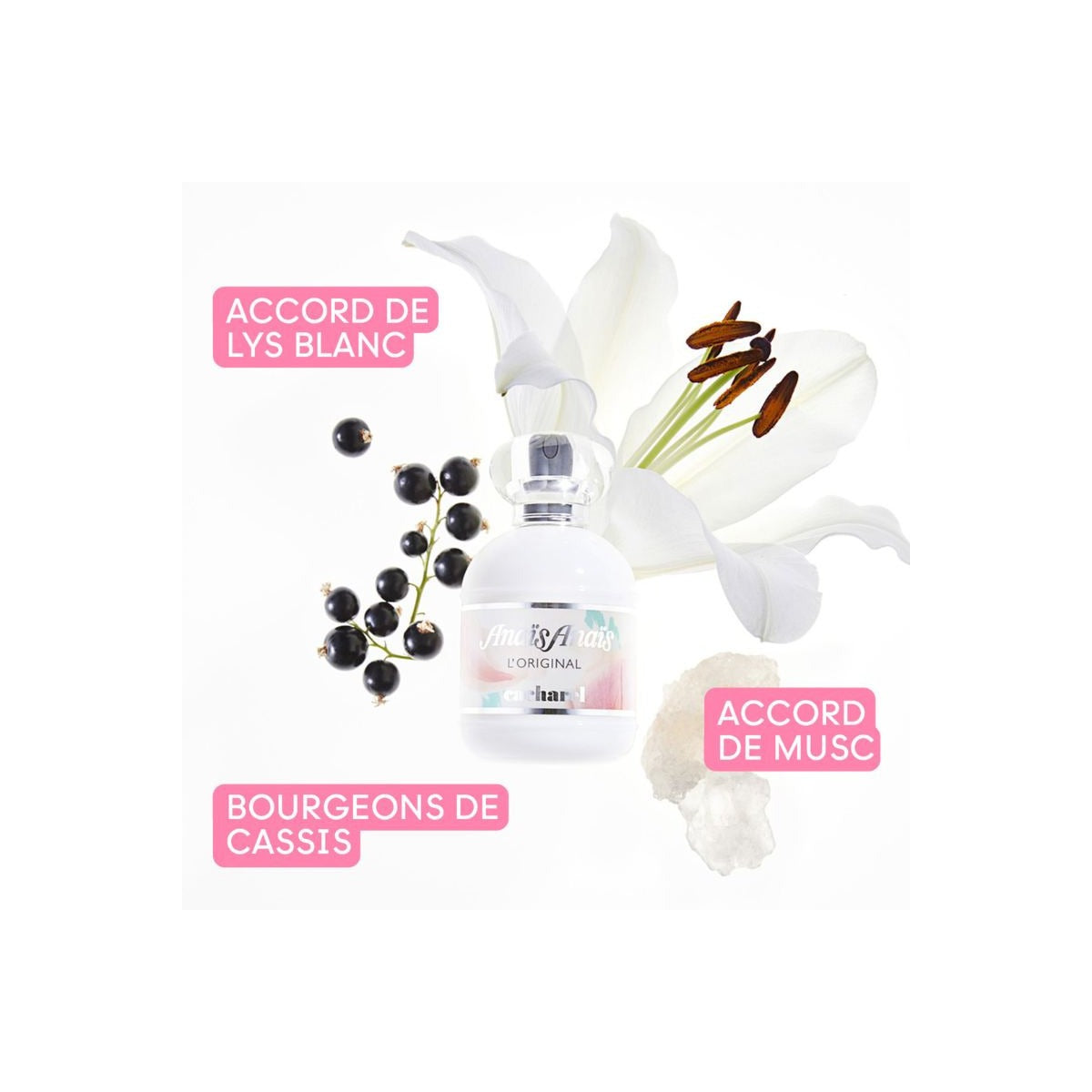 ANAIS CACHAREL 50ML EDT